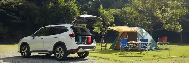 Vehículo 4X4 Subaru en color blanco en día de campo con maletero abierto