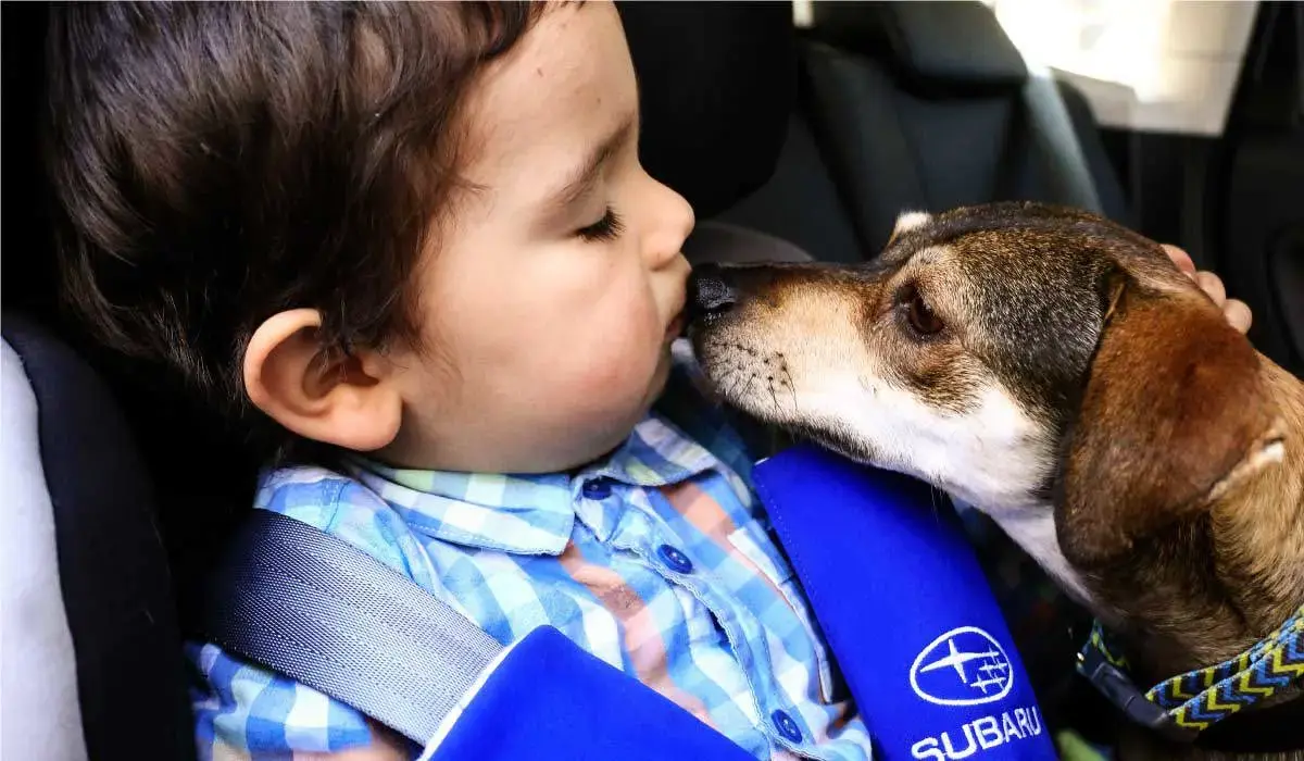 niño y perro en vehiculo