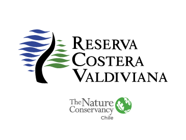 TNC protegiendo la Reserva Costera Valdiviana