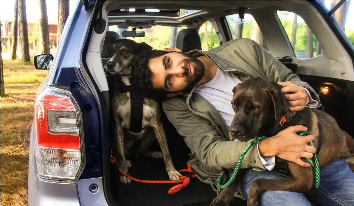 viajar con mascota