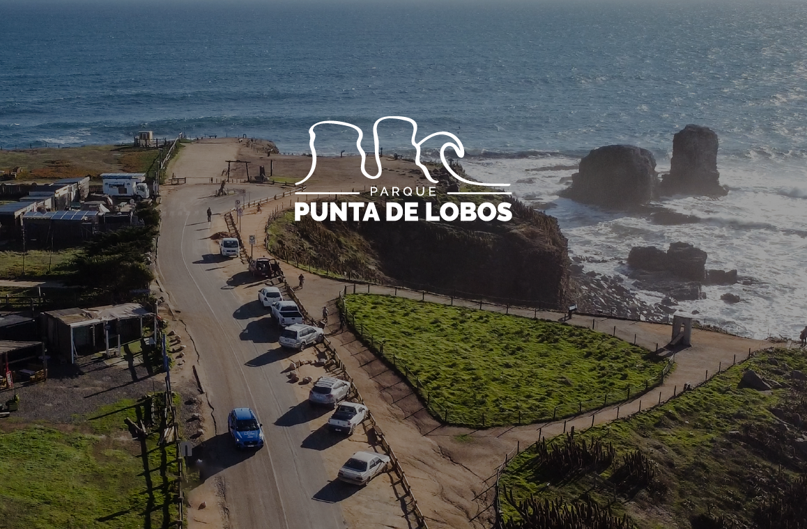 Junio 2025