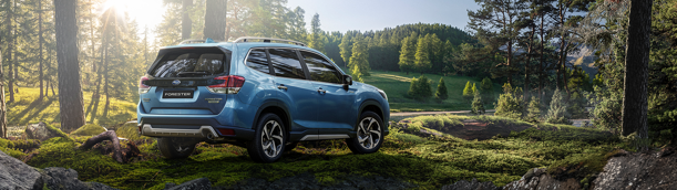Subaru Forester color azul aparcada en bosque con vegetación de fondo