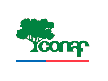 CONAF conserva las áreas silvestres protegidas de Chile.